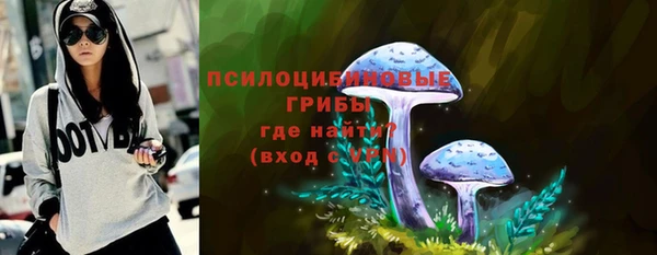 ALPHA PVP Новодвинск