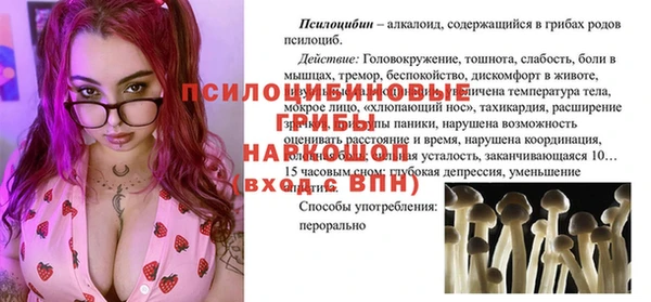 ALPHA PVP Новодвинск
