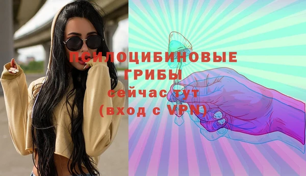 mdma Новозыбков